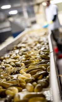 Food and Beverage - Snacks Manufacturing Platform - Hausbeck Pickles Quote