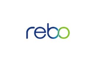 Rebo Lighting &amp; Electronics